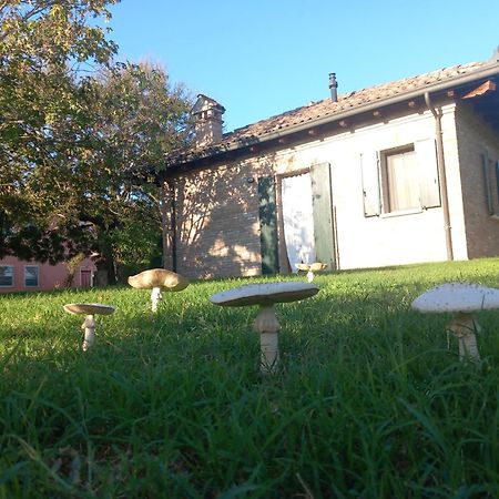 Agriturismo Fondo Novelle La Casina Феррара Экстерьер фото