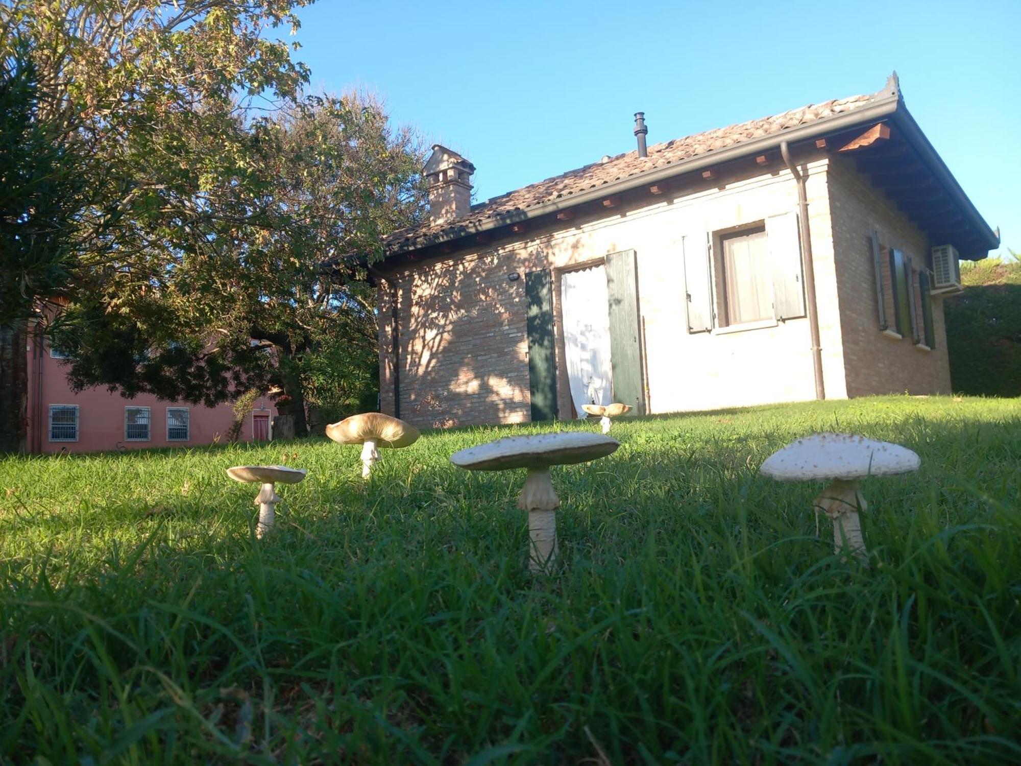 Agriturismo Fondo Novelle La Casina Феррара Экстерьер фото